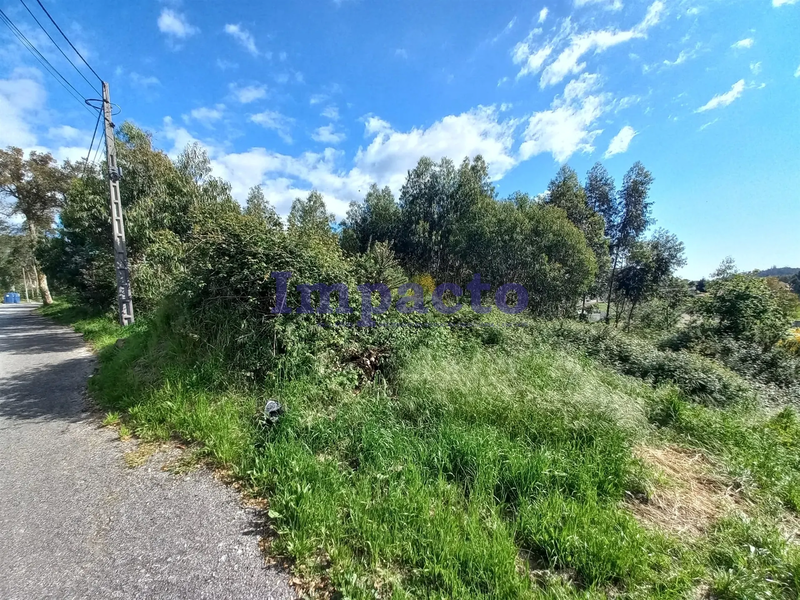 -190005159_aHR0cHM6Ly9tZWRpYWltcGFjdG8ueGltby5wdC8vaW1vdmVpcy81MTU5Lzc2OWVjYmE2LTA0ZGYtNDFjNS1hZTViLTcyYTM0OTVkYzlkMy5qcGc.webp