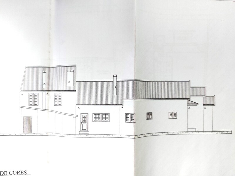 1000019900_6.jpg
