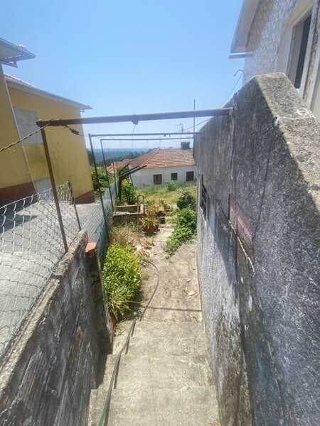 1000019911_7.jpeg