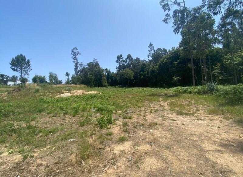 Terreno Urbano com 1200m2 Lugar Macieira Souto Santa Maria da Feira - viabilidade de construção, poço, bons acessos