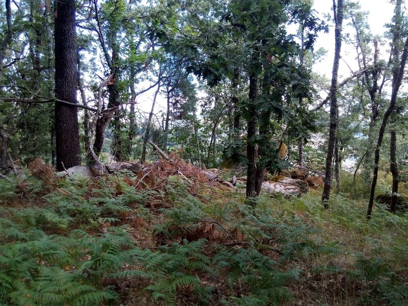 1000019917_3.jpg