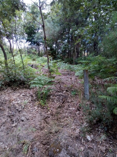 Terreno Rústico com 3730m2 Panda - Urgueira Valadares Baião
