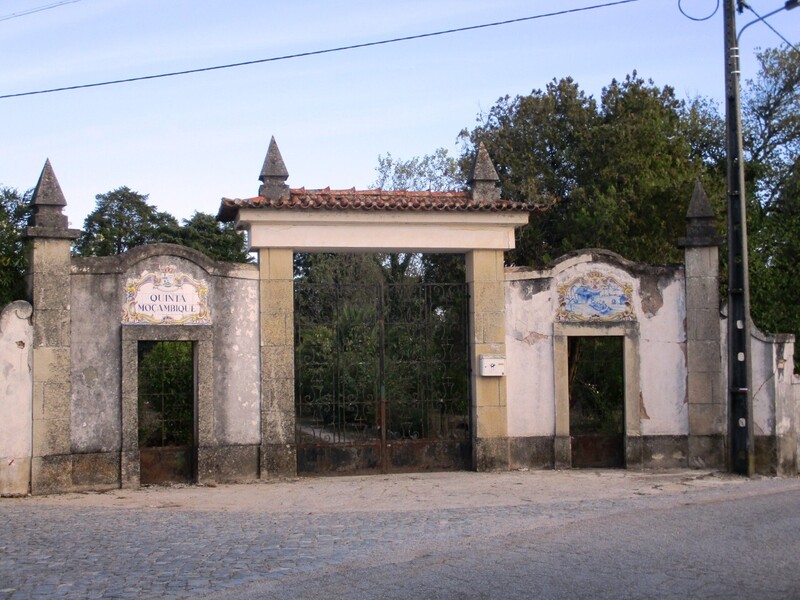 1000019925_1..jpg