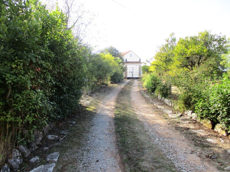 1000019925_5.jpg
