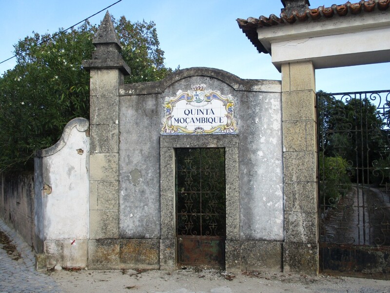 1000019925_img_4873.jpg
