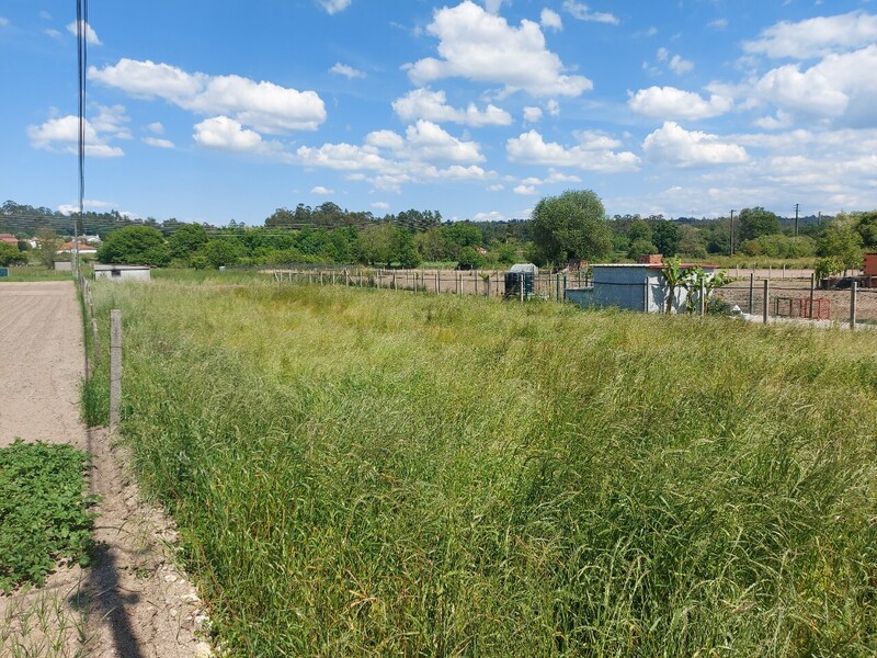 1000019928_20250516_153251.jpg