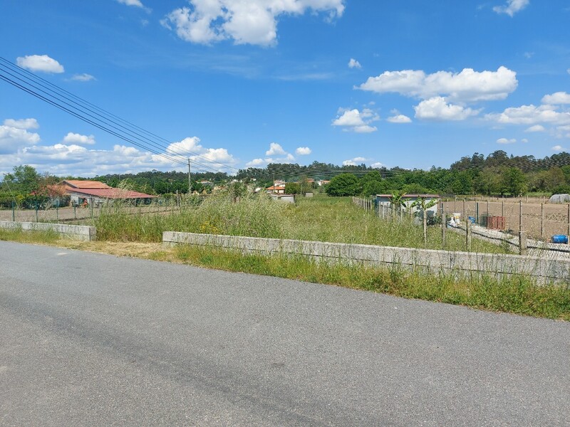Terreno Rústico com 1200m2 Meal Campo de Besteiros Tondela