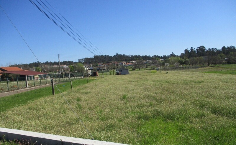 1000019928_img_3298.jpg