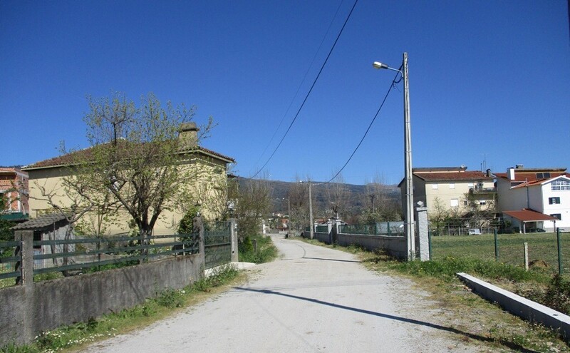 1000019928_img_3302.jpg