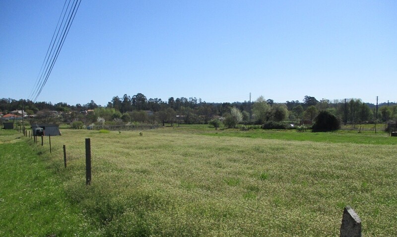 1000019928_img_3303.jpg