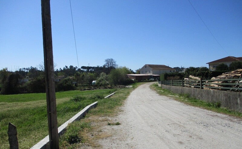 1000019928_img_3304.jpg