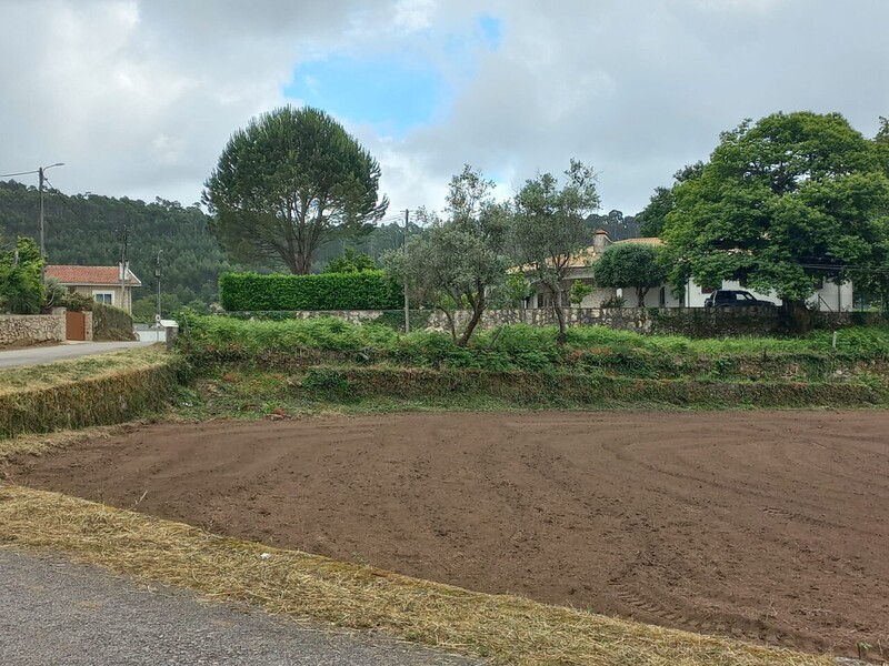 Terreno Rústico com 2647m2 Escariz Arouca - bons acessos