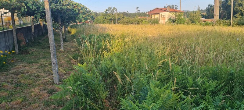 Terreno Rústico para construção Nabais Escariz Arouca - bons acessos