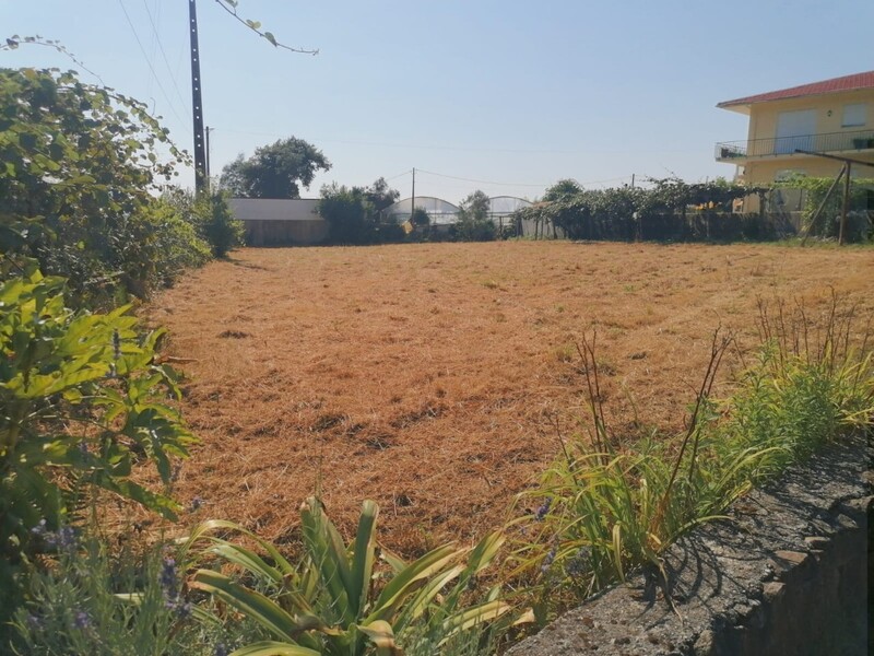 Land Rustic for construction Nabais Escariz Arouca - easy access