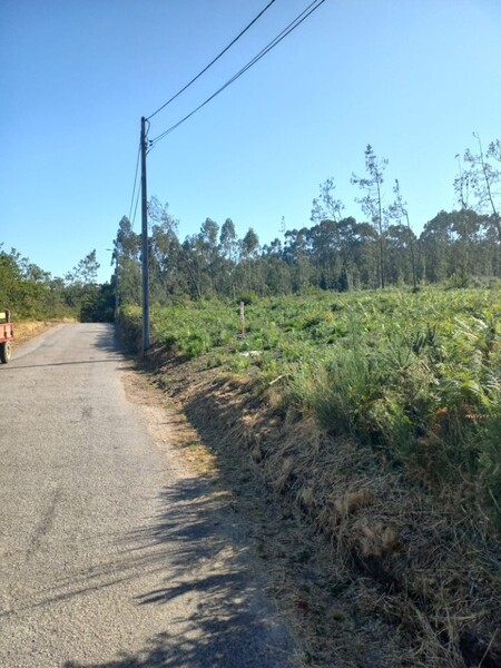 Terreno Rústico com 9100m2 Aliviada Escariz Arouca - bons acessos