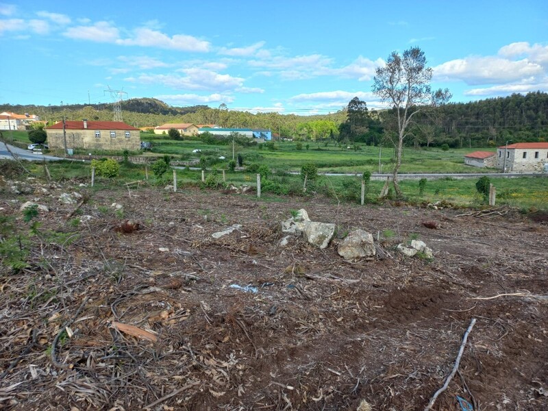 Terreno Rústico com 2400m2 Aliviada Escariz Arouca - bons acessos