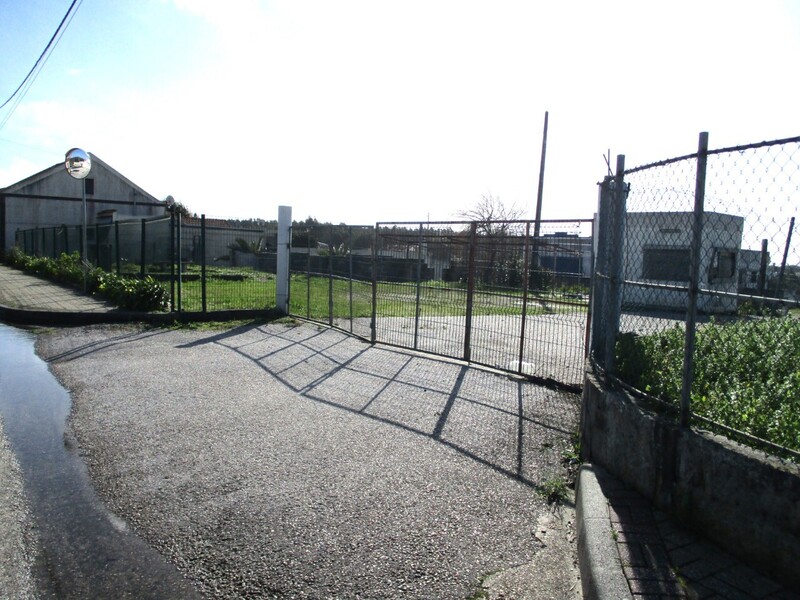 1000019945_img_8066.jpg