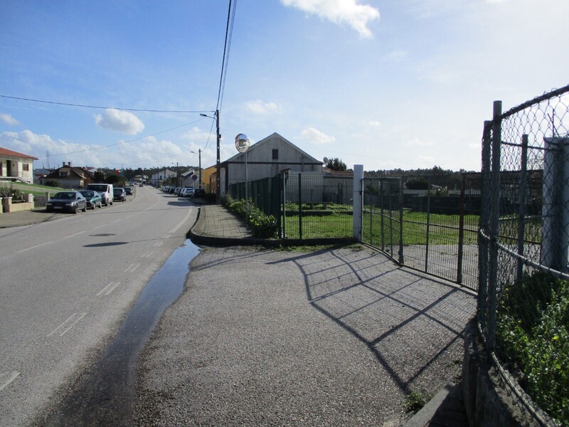 1000019945_img_8068.jpg
