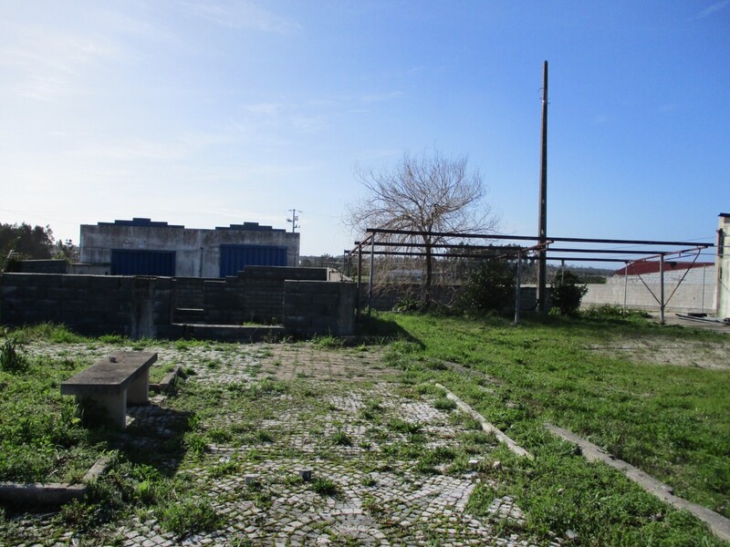 1000019945_img_8074.jpg