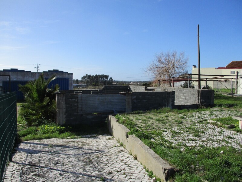 1000019945_img_8076.jpg