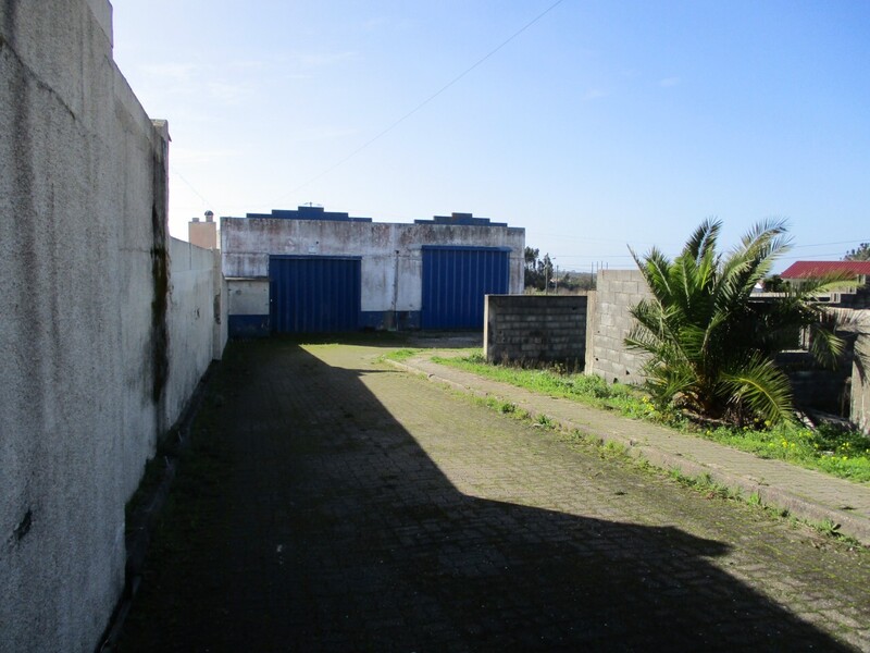 1000019945_img_8077.jpg