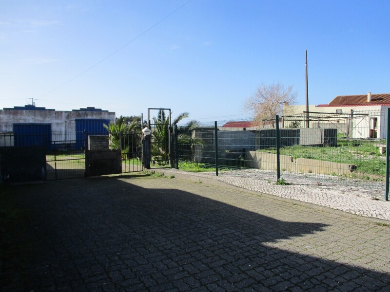1000019945_img_8079.jpg