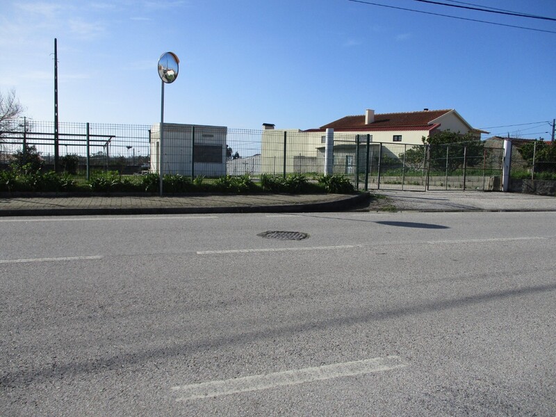 1000019945_img_8085.jpg