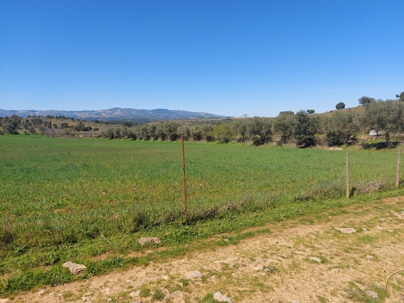 Terreno Rústico com 9718m2 Prado Castro Vicente Mogadouro - cultura arvense