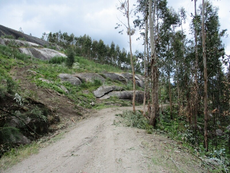 Terreno Rústico com 8070m2 Sorte de Travassô Guilhofrei Vieira do Minho