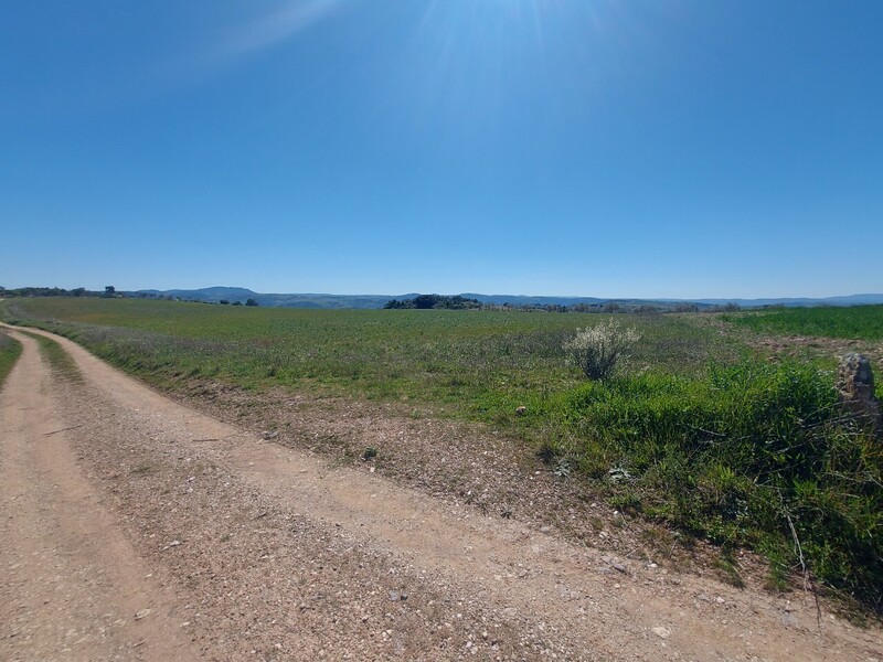1000019949_20250329_115020.jpg
