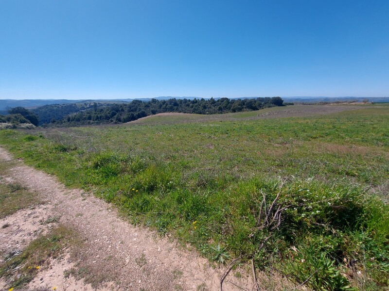 1000019949_20250329_115412.jpg