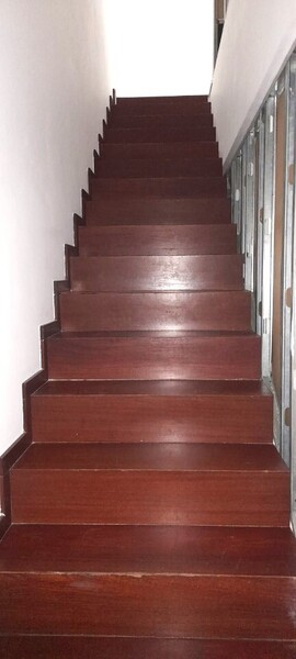 1000019955_7.jpeg