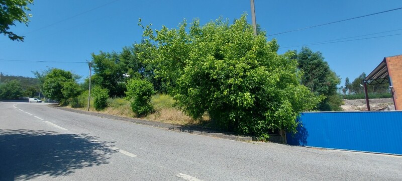 Lote de terreno com 6001m2 Alto Padrão Lousã - bons acessos