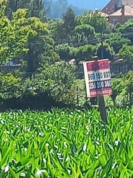 Land Agricultural with 1499sqm Aliviada Escariz Arouca - construction viability