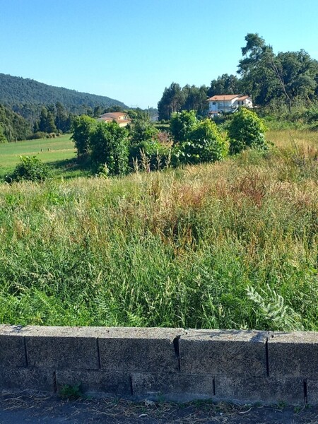 Land Rustic with 2700sqm Escariz Arouca - easy access