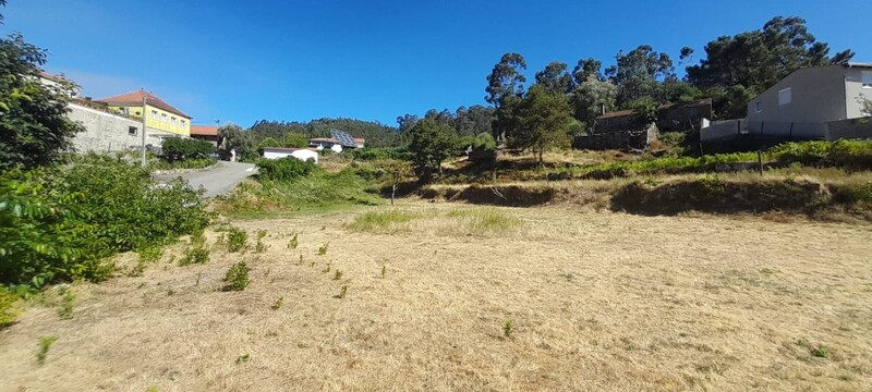 Terreno Rústico plano Parada Couto de Esteves Sever do Vouga