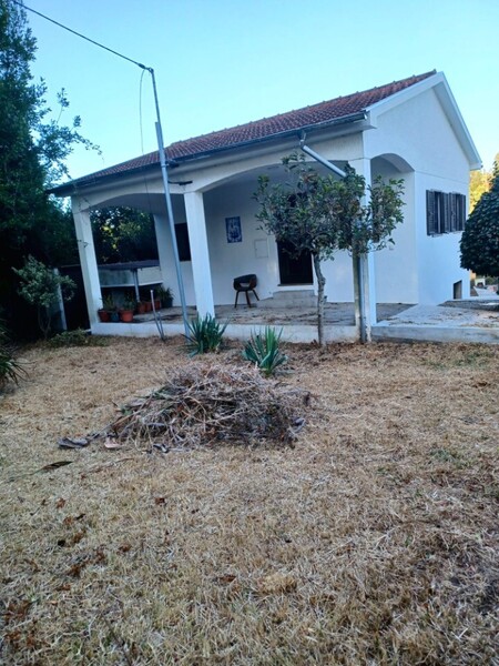 Moradia em excelente estado V2 Macieira de Sarnes Oliveira de Azeméis - jardim, zona calma