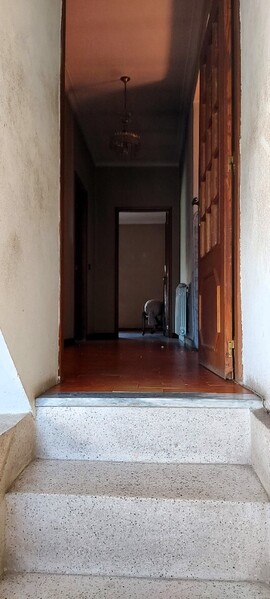 1000020013_10.jpg