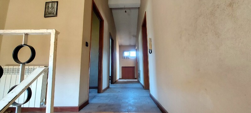 1000020013_26.jpg