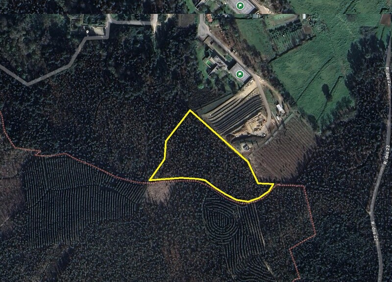 Land Rustic with 15539.90sqm Chão do Além Pinheiro da Bemposta Oliveira de Azeméis