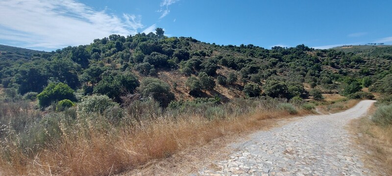 земля загородный c 27200m2 Carris Pereiros São João da Pesqueira