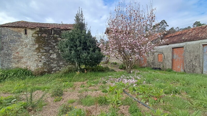 жилой дом для восстановления V2 Macieira de Sarnes Oliveira de Azeméis - сад, усадьбаl