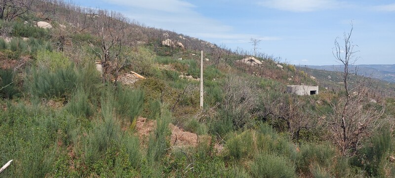 Home V1 in ruins Corujeira Gonçalo Guarda