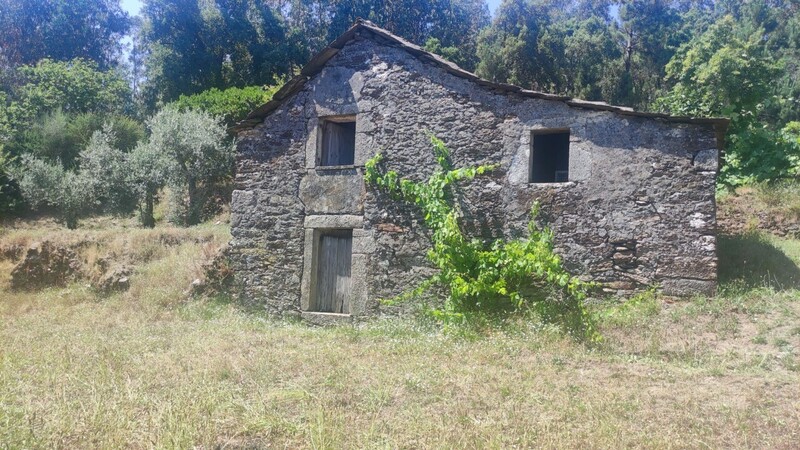 Ruine 0 bedrooms to rebuild São Miguel do Mato Arouca