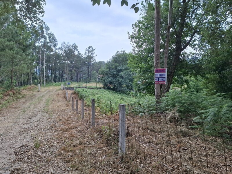 Terreno Rústico com projecto aprovado Macieira de Cambra Vale de Cambra