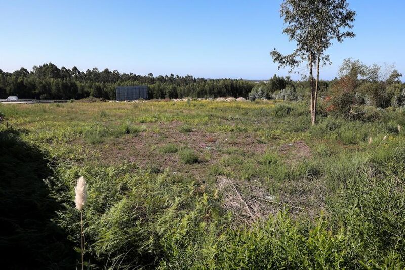 Terreno Urbano com 2593m2  Rio Meão Santa Maria da Feira - bom acesso