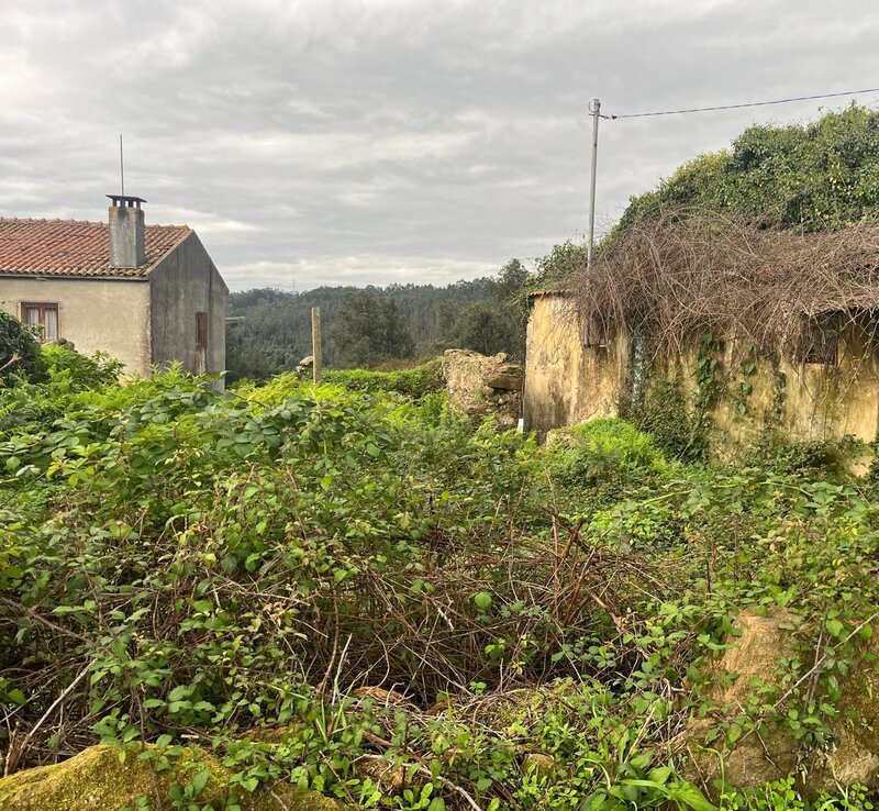 Land with 1350sqm   Oliveira de Azeméis