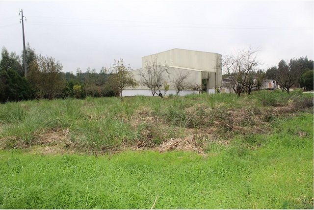 Warehouse with 2369sqm Branca Albergaria-a-Velha