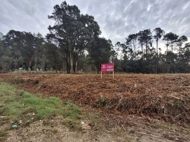 Terreno Rústico com 7276m2 Espinho