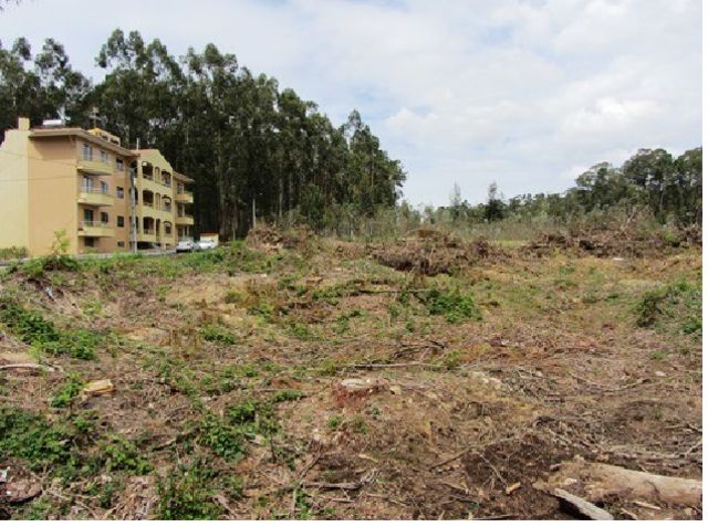 Land Urban flat São Martinho da Gândara Oliveira de Azeméis